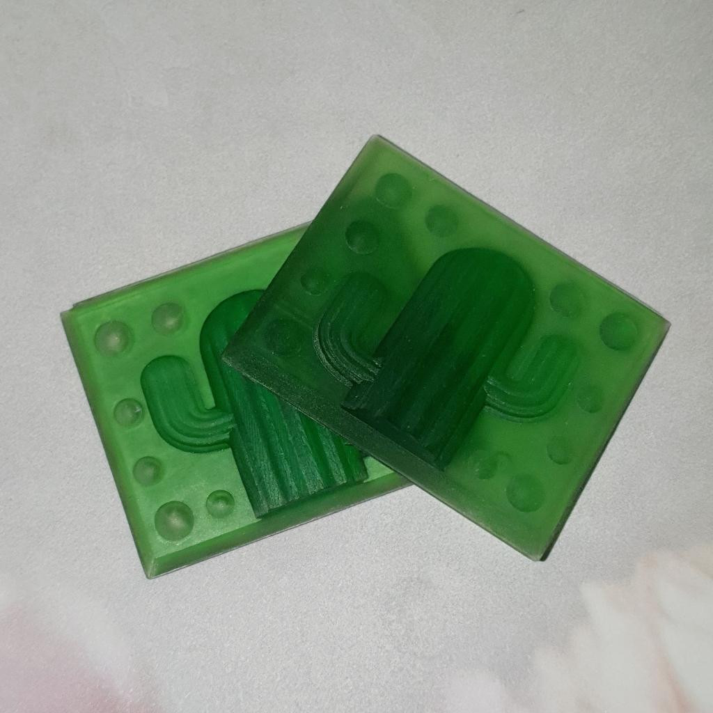 Модель для заливки силиконом Кактус с уже готовой основой и опалубками