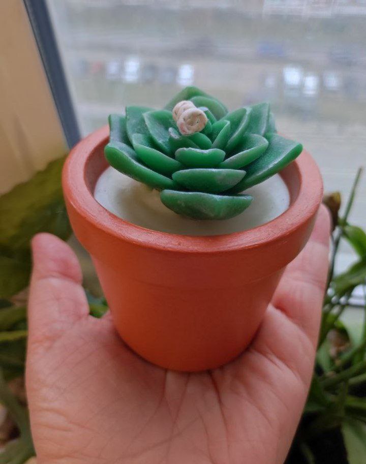 Спасибо за ваши отзывы